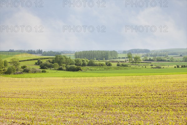France, Rocroi, Rural landscape. Photo: Mike Kemp