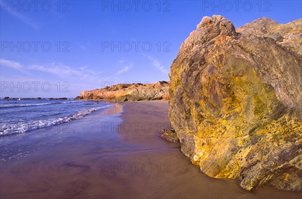 Mexico, Gulf of California, Baja California Sur, View of sandy beach. Photo : DKAR Images