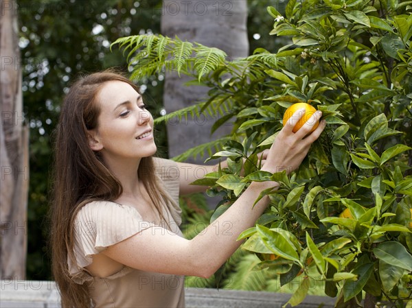 Young woman picking orange. Photo : Jessica Peterson