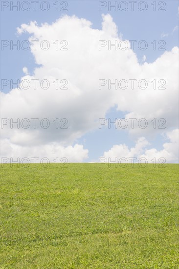 USA, New Jersey, Mendham, Scenic view of meadow. Photo : Tetra Images