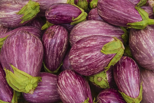 Heap of eggplants.