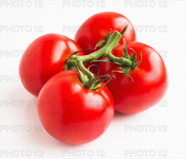 Tomatoes on white background, studio shot.