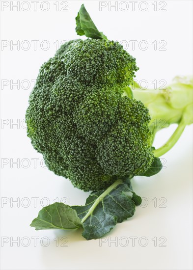 Broccoli on white background, studio shot.