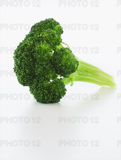 Broccoli on white background, studio shot.