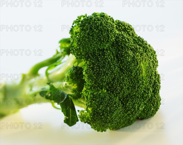 Broccoli on white background, studio shot.