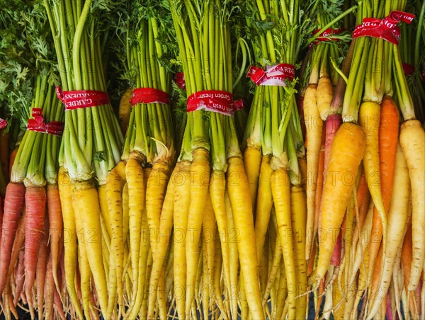 Bunches of carrots.