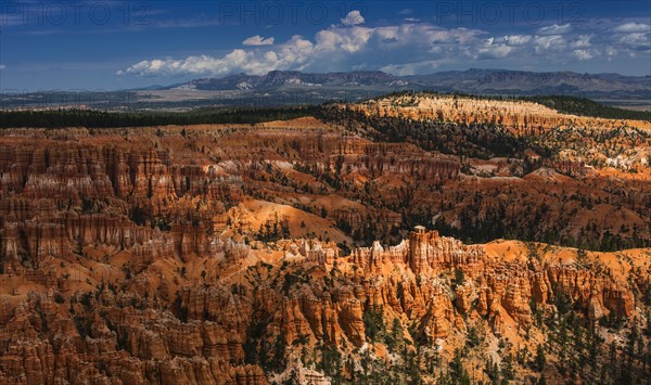 Bryce Canyon.