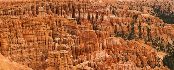 Bryce Canyon.