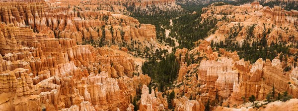 Bryce Canyon.