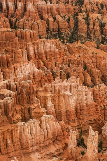 Bryce Canyon.