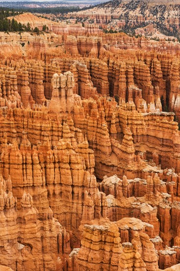 Bryce Canyon.