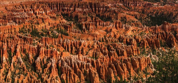 Bryce Canyon.