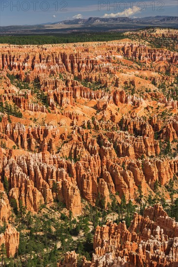 Bryce Canyon.