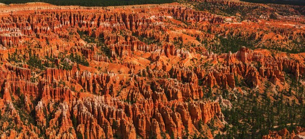 Bryce Canyon.