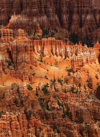 Bryce Canyon.