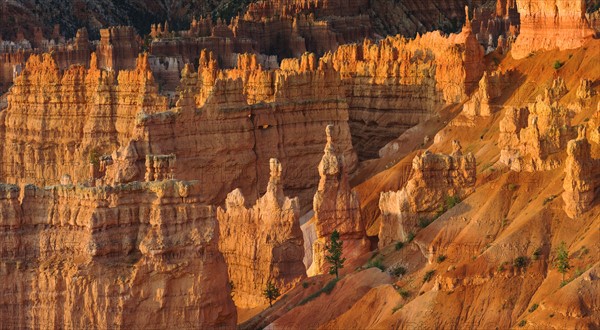 Bryce Amphitheater.