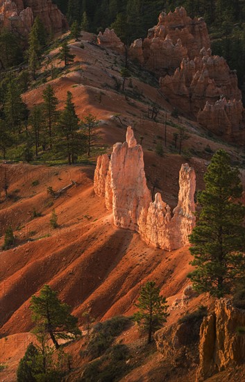 Bryce Amphitheater.