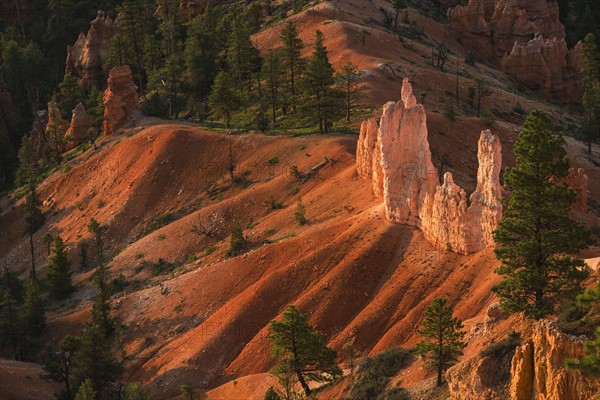 Bryce Amphitheater.