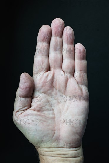 Studio shot of hand.