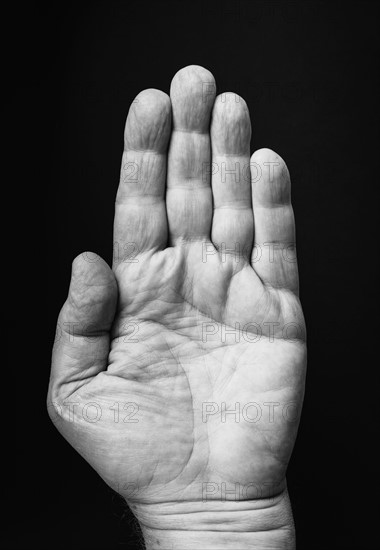 Studio shot of hand.