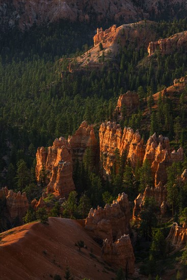 Bryce Amphitheater.