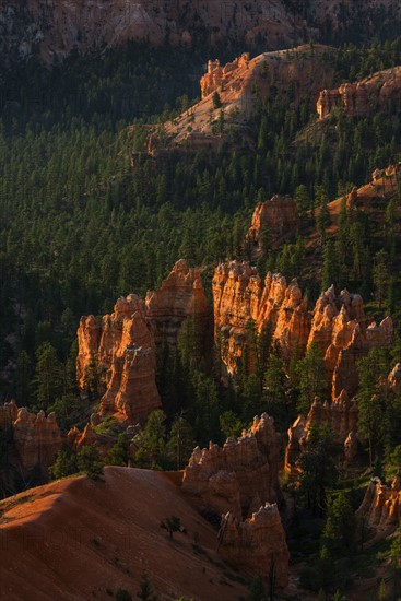 Bryce Amphitheater.