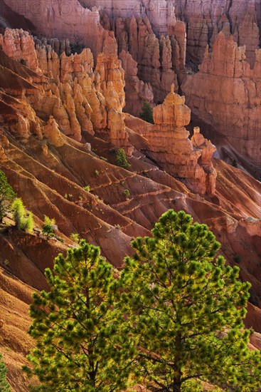 Bryce Amphitheater.