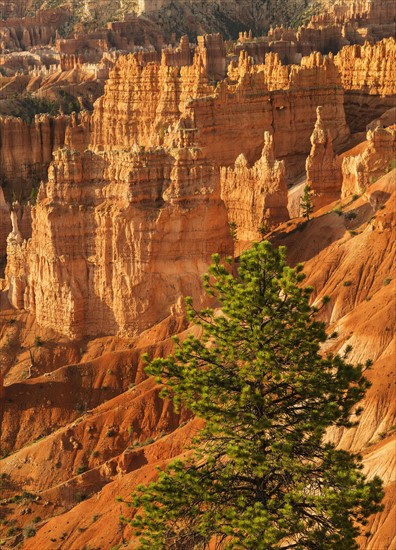 Bryce Amphitheater.