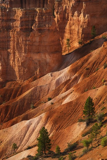 Bryce Amphitheater.