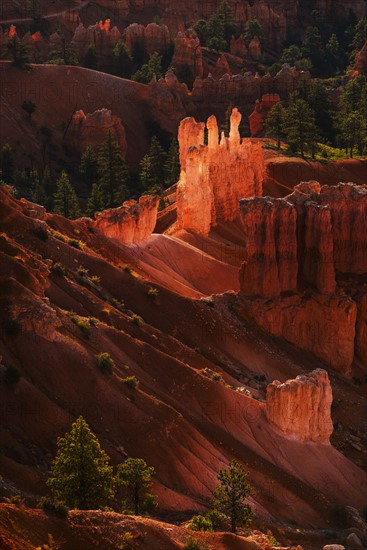 Bryce Amphitheater.