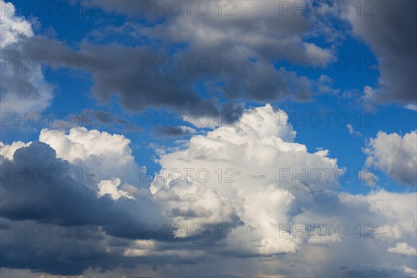 Puffy clouds on sky.