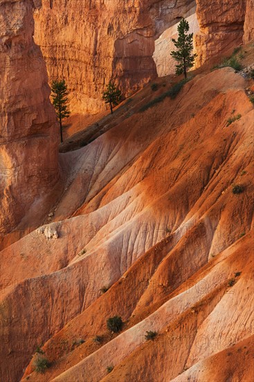 Rock formations at sunset.