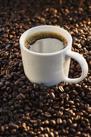 Coffee and coffee beans, studio shot.