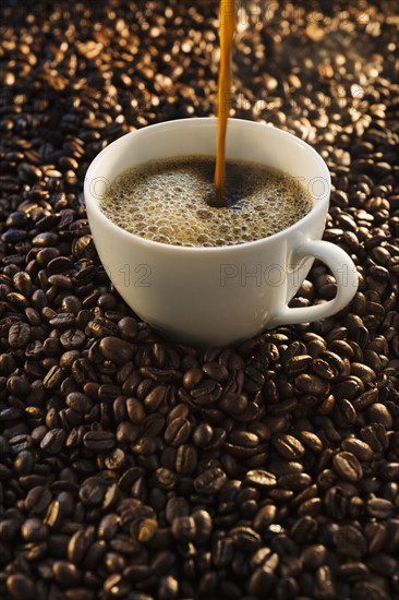 Pouring coffee into cup on coffee beans, studio shot.