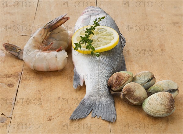 Fresh raw seafood on table, studio shot.