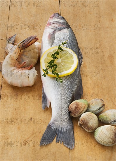 Fresh raw seafood on table, studio shot.