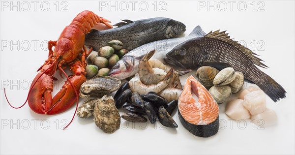 Selection of seafood, studio shot.