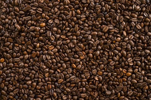 Coffee beans, studio shot.