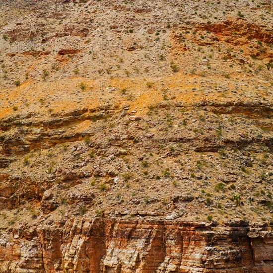 Desert landscape.