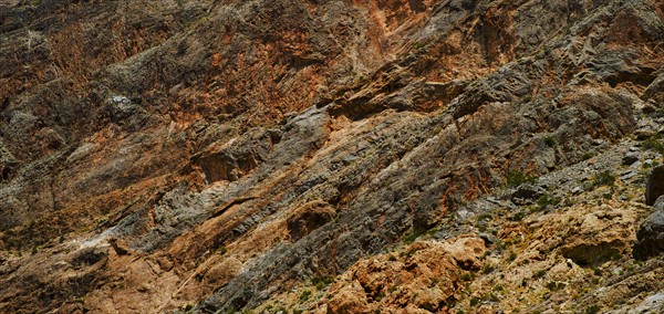 Desert landscape.