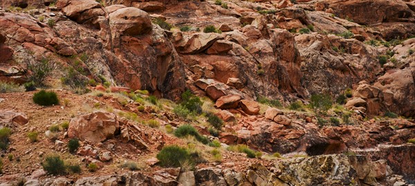 Desert landscape.