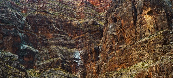 Desert landscape.