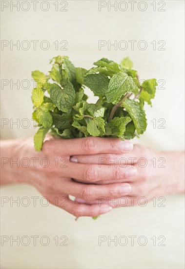Woman holding fresh mint.