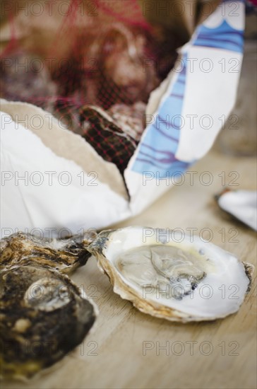 Raw oysters. Photo : Jamie Grill