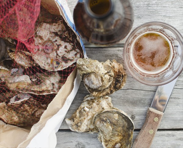 Raw oysters. Photo : Jamie Grill