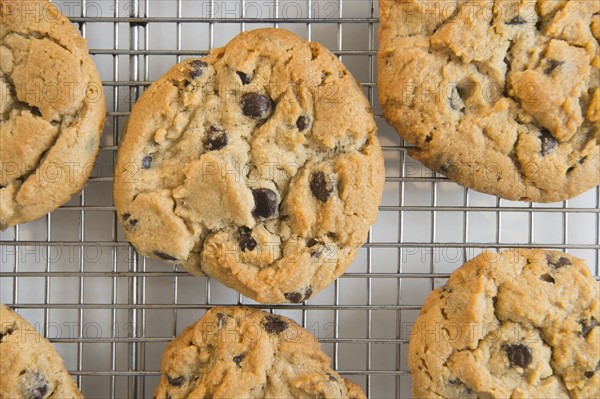 Studio shot of chocolate chip cookies. Photo : Jamie Grill