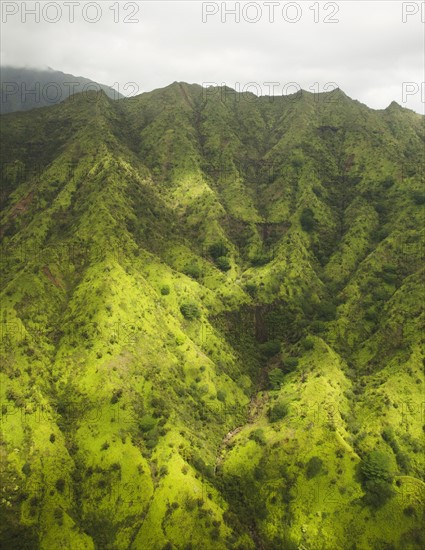 Green mountains. Photo: Jamie Grill