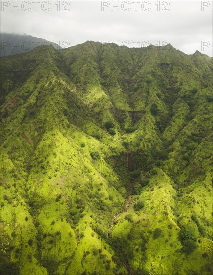 Green mountains. Photo : Jamie Grill