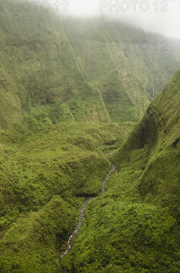 Green mountains. Photo: Jamie Grill