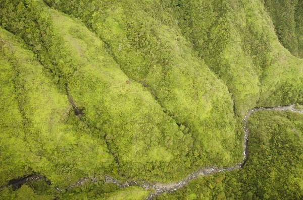 Green mountains. Photo: Jamie Grill